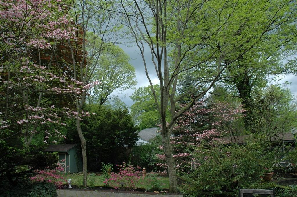 Wayne Bed & Breakfast Inn (Adults Only) Exterior foto